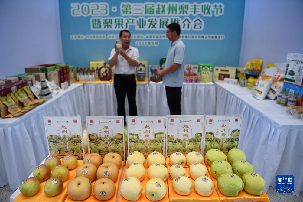 威尼斯wns·885566